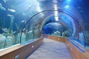 acuario-túnel